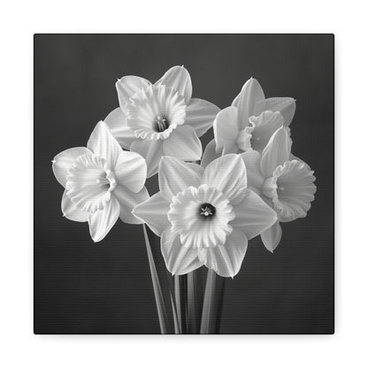 A black and white portrait of daffodil flowers. Matte Canvas, Stretched, 1.25"