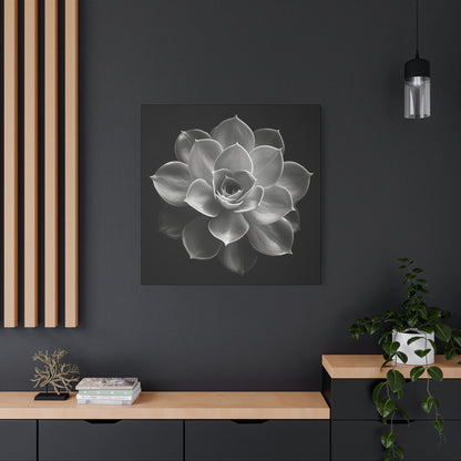 Black and white portrait of a succulent echeveria flower. Matte Canvas, Stretched, 1.25"