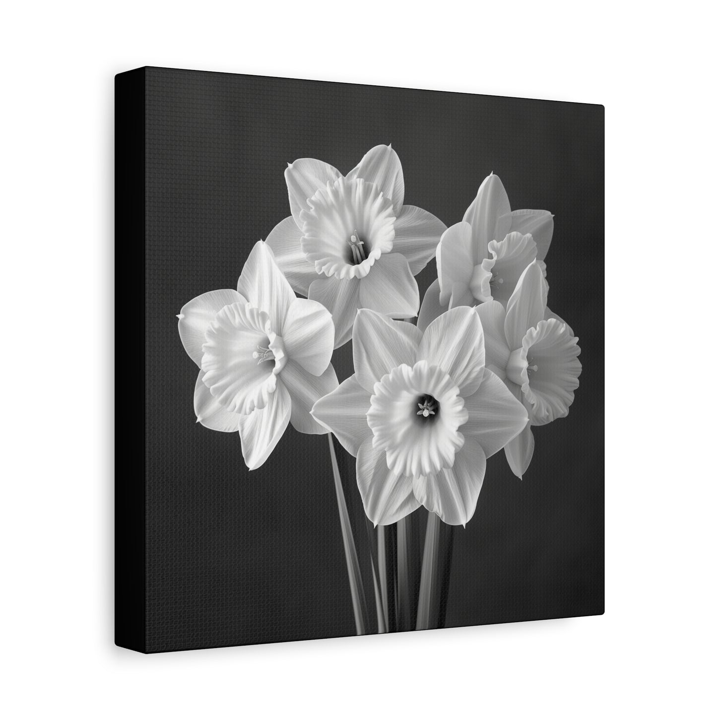 A black and white portrait of daffodil flowers. Matte Canvas, Stretched, 1.25"