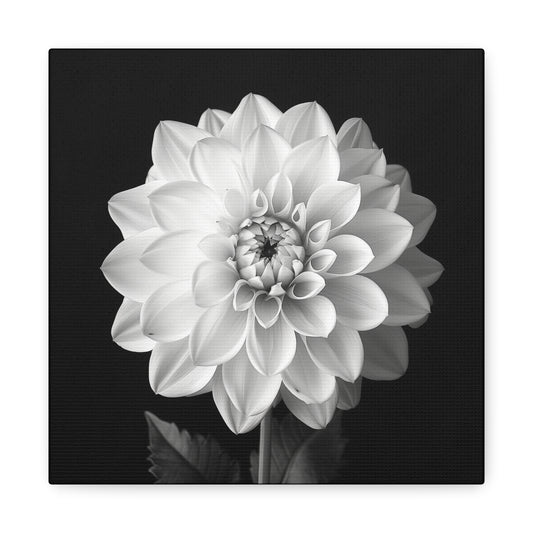 A black and white portrait of a dahlias flower. Matte Canvas, Stretched, 1.25"