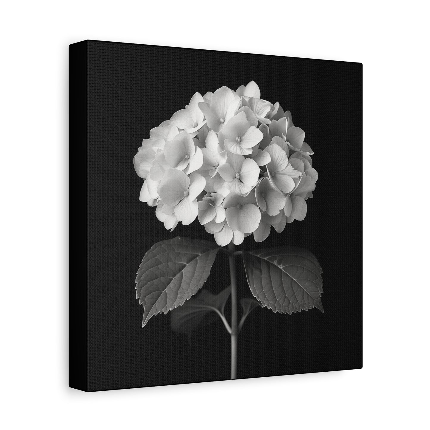 A black and white portrait of a hydrangea flower. Matte Canvas, Stretched, 1.25"