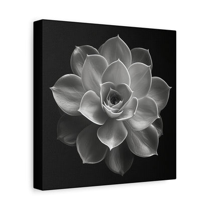 Black and white portrait of a succulent echeveria flower. Matte Canvas, Stretched, 1.25"