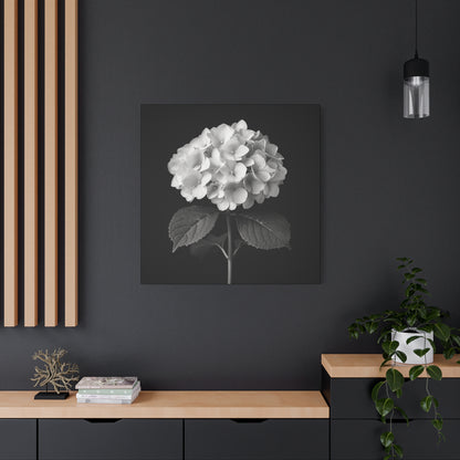 A black and white portrait of a hydrangea flower. Matte Canvas, Stretched, 1.25"