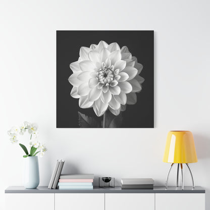 A black and white portrait of a dahlias flower. Matte Canvas, Stretched, 1.25"