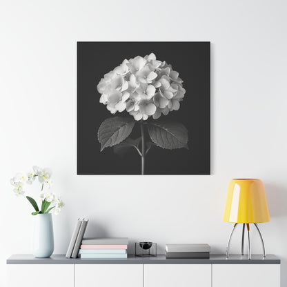 A black and white portrait of a hydrangea flower. Matte Canvas, Stretched, 1.25"